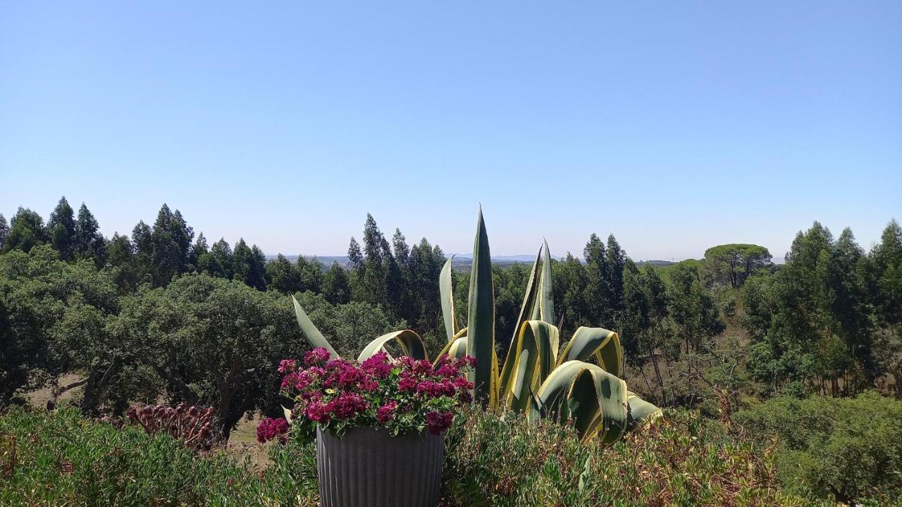 Monte Horizonte - The Private Villas - Eco & Nature (Adults Only) Santiago do Cacem Exterior photo
